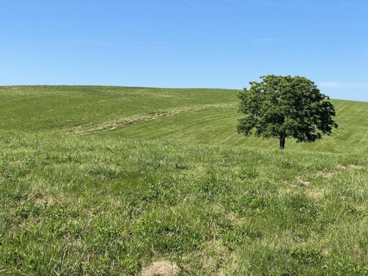 Picture of Residential Land For Sale in Cynthiana, Kentucky, United States