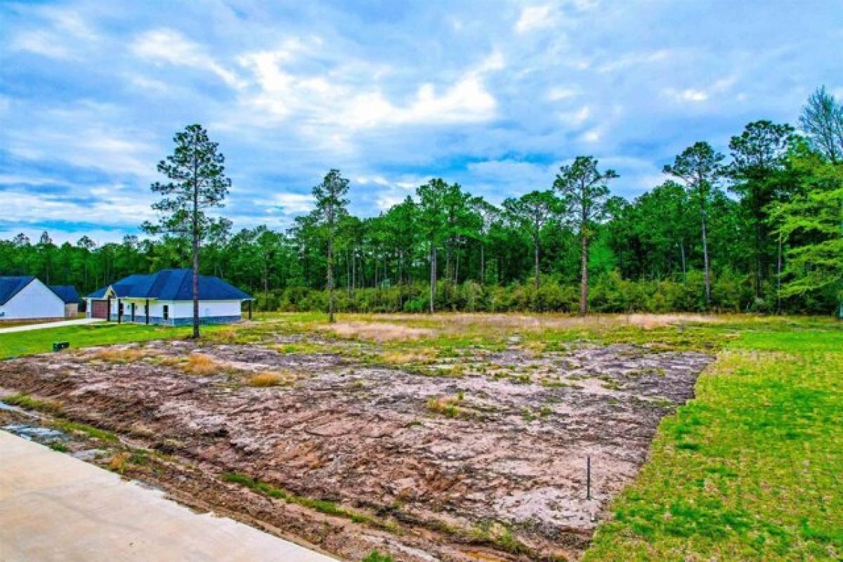 Picture of Residential Land For Sale in Brookeland, Texas, United States