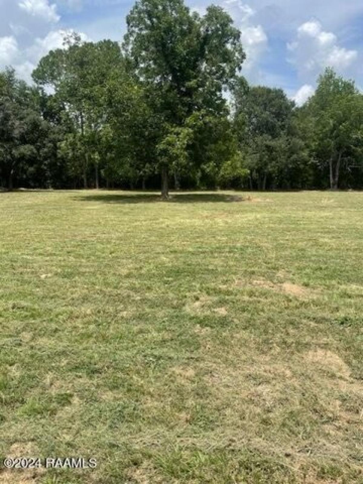 Picture of Residential Land For Sale in Ville Platte, Louisiana, United States