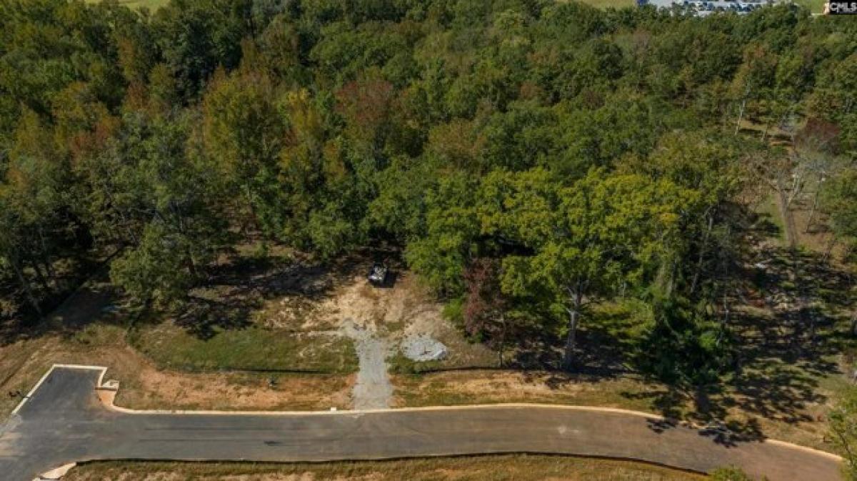 Picture of Residential Land For Sale in Lexington, South Carolina, United States