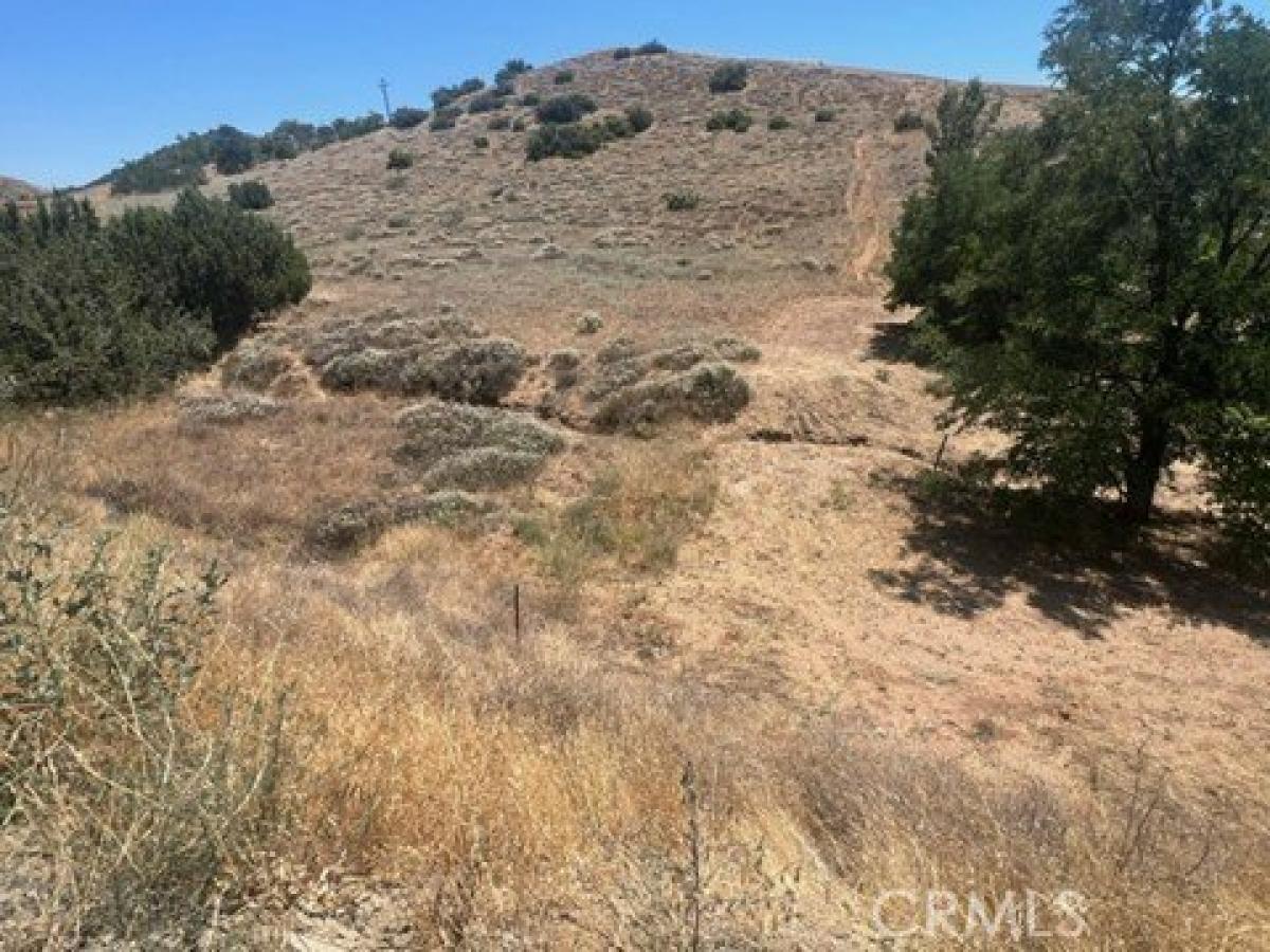 Picture of Residential Land For Sale in Acton, California, United States