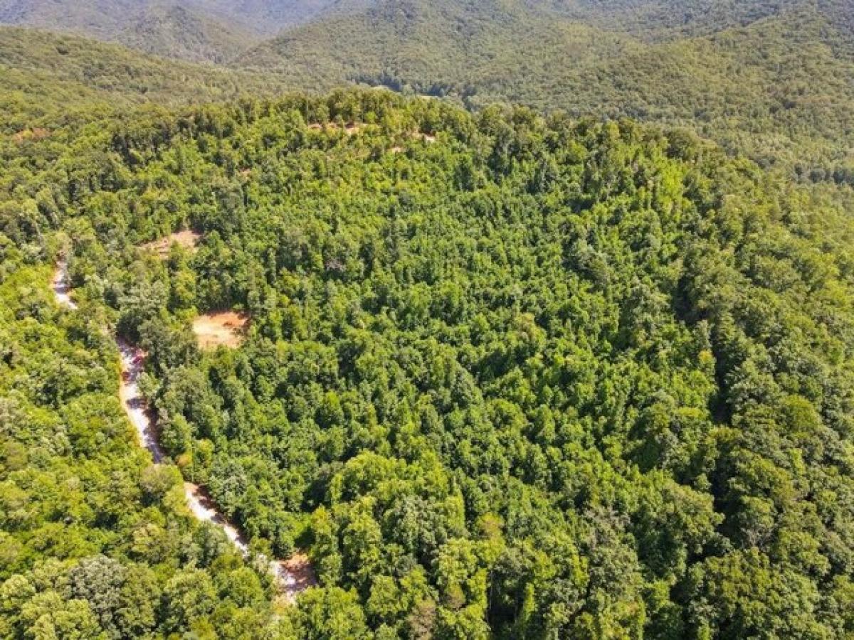 Picture of Residential Land For Sale in Hiawassee, Georgia, United States