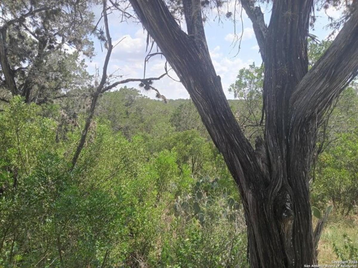 Picture of Home For Sale in Lakehills, Texas, United States