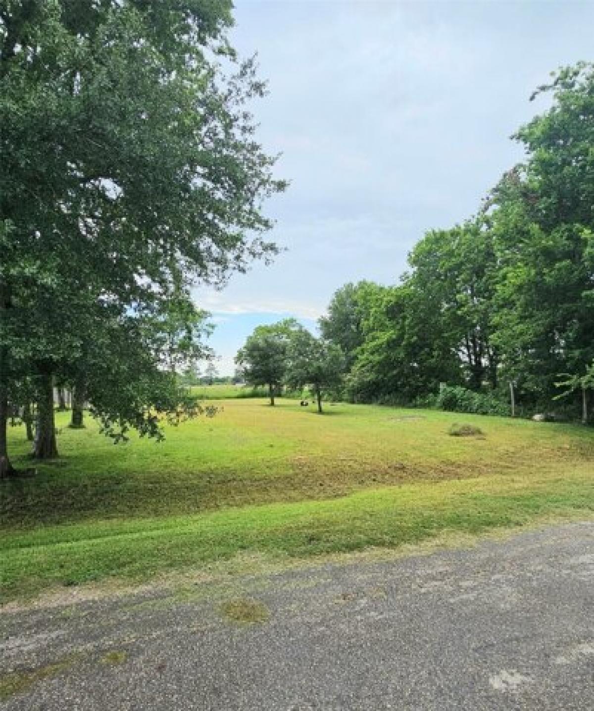 Picture of Residential Land For Sale in Rosharon, Texas, United States