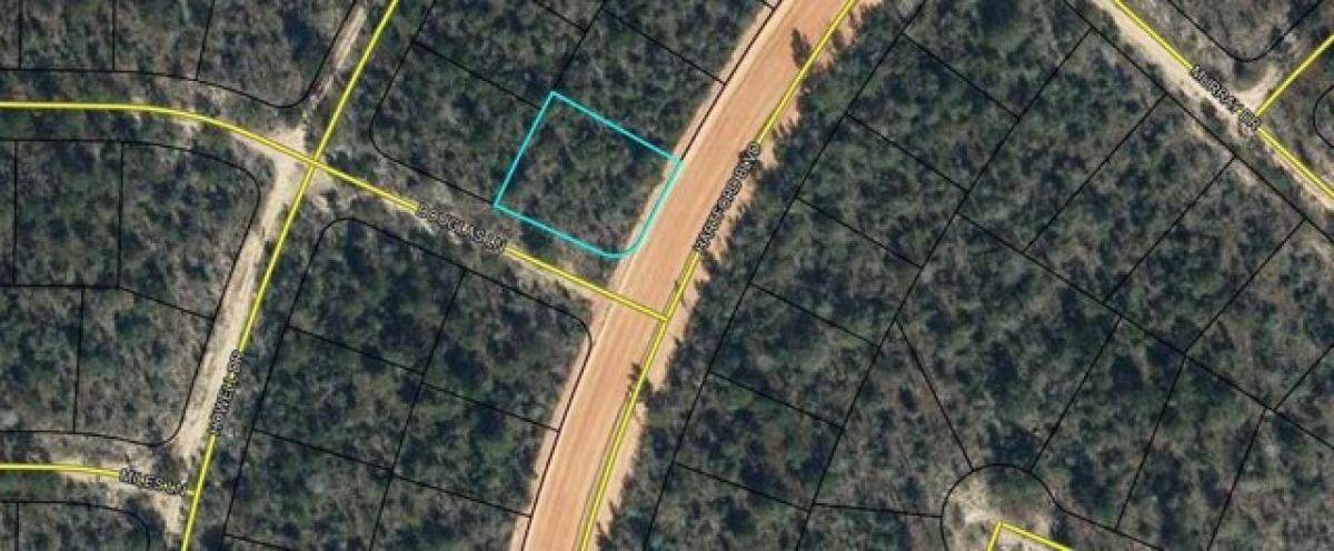 Picture of Residential Land For Rent in Chipley, Florida, United States