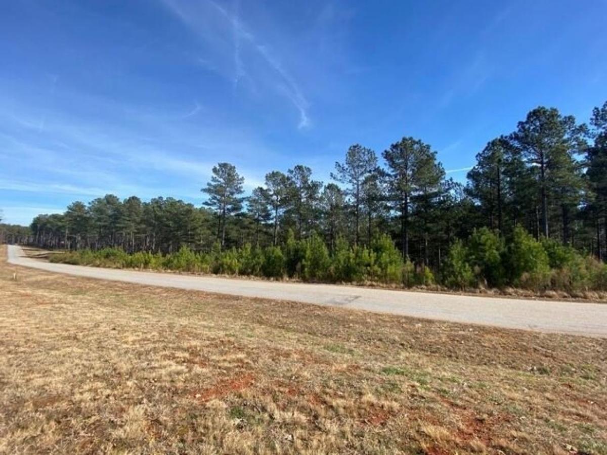 Picture of Residential Land For Sale in Salem, South Carolina, United States