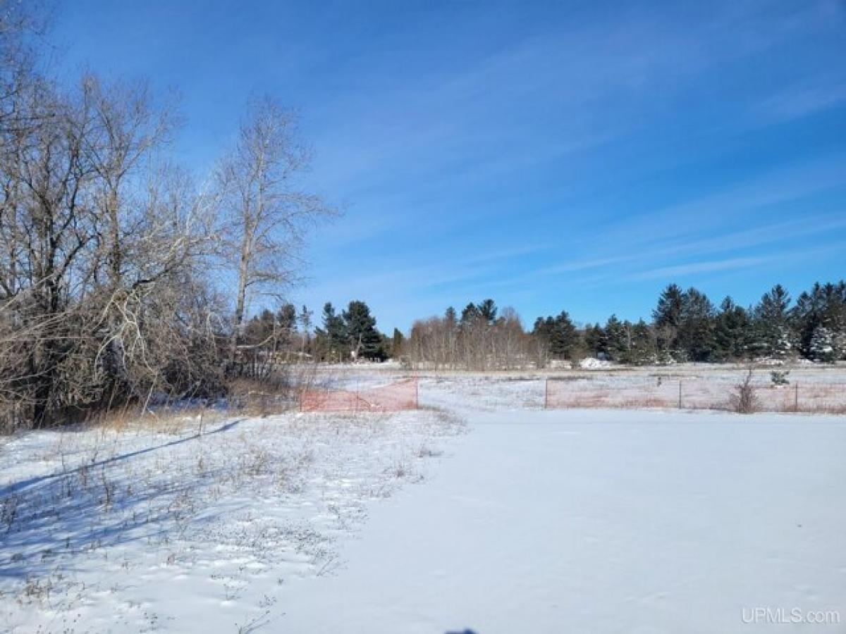 Picture of Residential Land For Sale in Iron Mountain, Michigan, United States