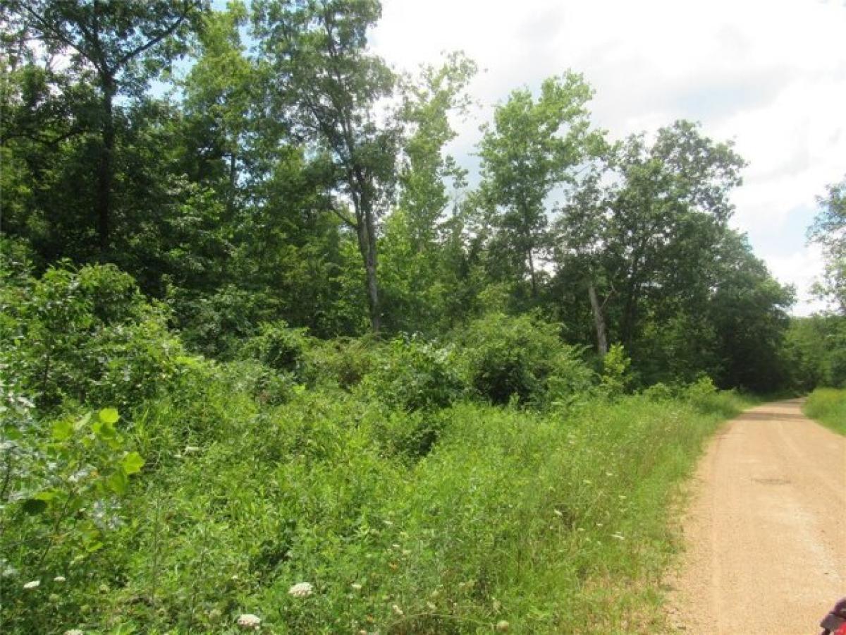 Picture of Residential Land For Sale in Steelville, Missouri, United States