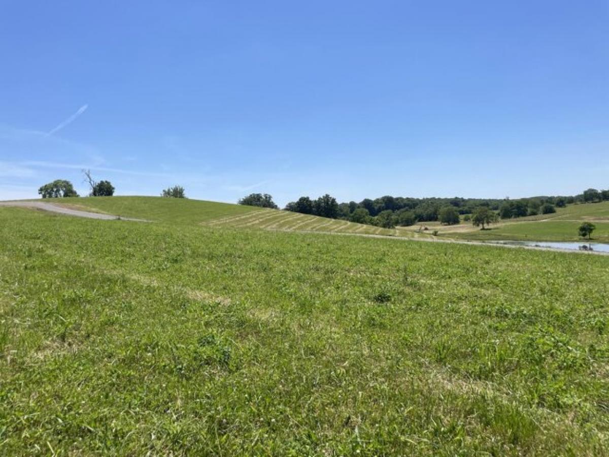 Picture of Residential Land For Sale in Cynthiana, Kentucky, United States