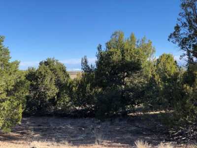 Residential Land For Sale in Rye, Colorado