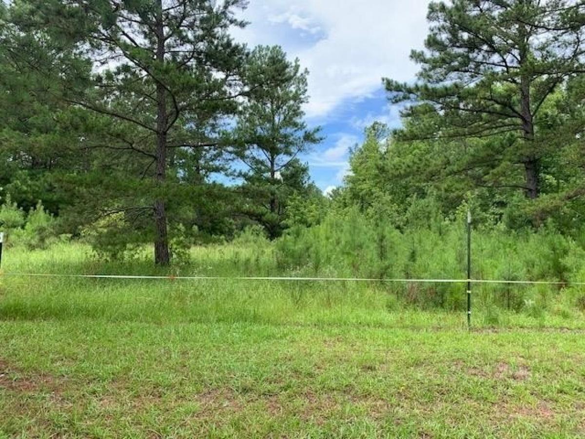 Picture of Residential Land For Sale in Milledgeville, Georgia, United States