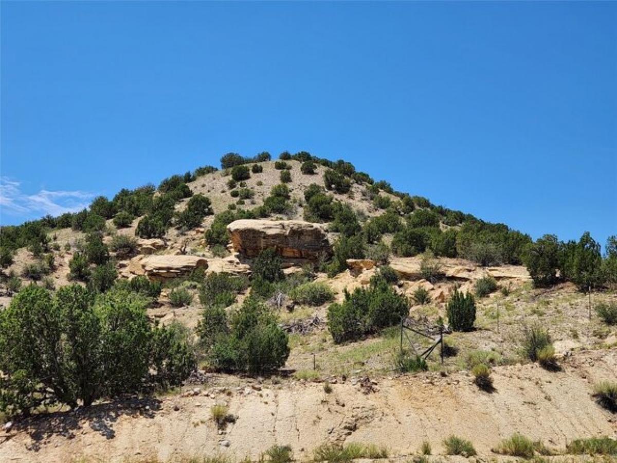 Picture of Residential Land For Sale in Cerrillos, New Mexico, United States