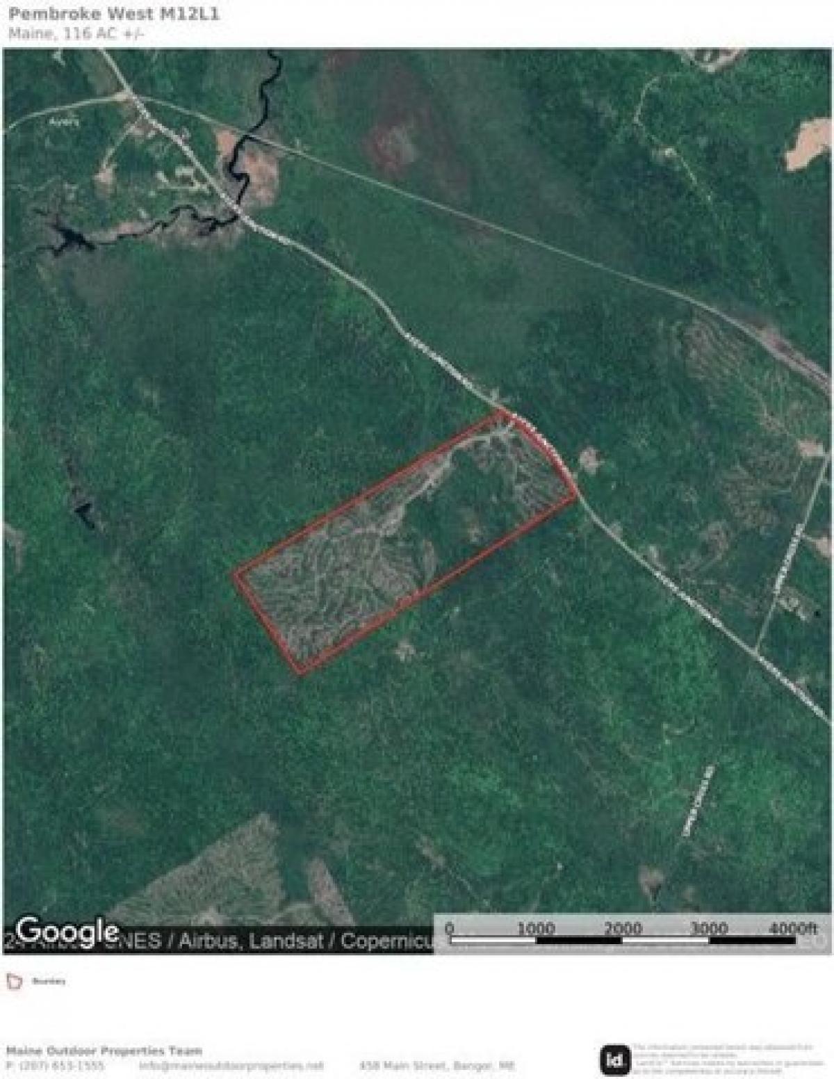 Picture of Residential Land For Sale in Pembroke, Maine, United States