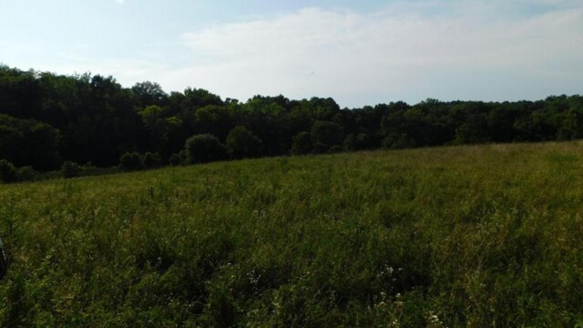 Picture of Residential Land For Sale in Williamstown, Kentucky, United States