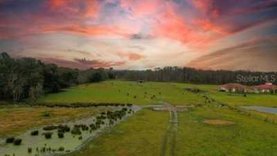 Residential Land For Sale in Groveland, Florida