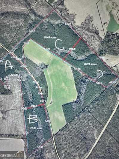 Residential Land For Sale in Cadwell, Georgia