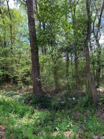 Residential Land For Sale in New Caney, Texas