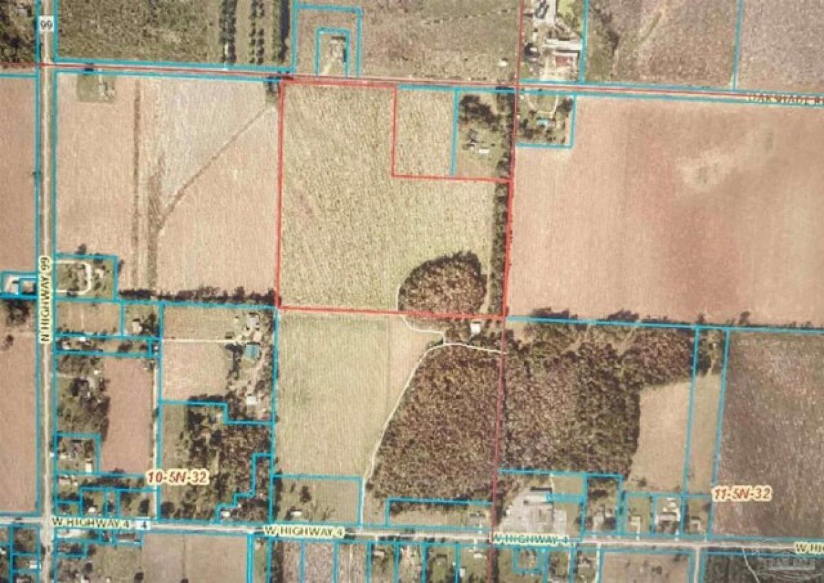 Picture of Residential Land For Sale in Century, Florida, United States