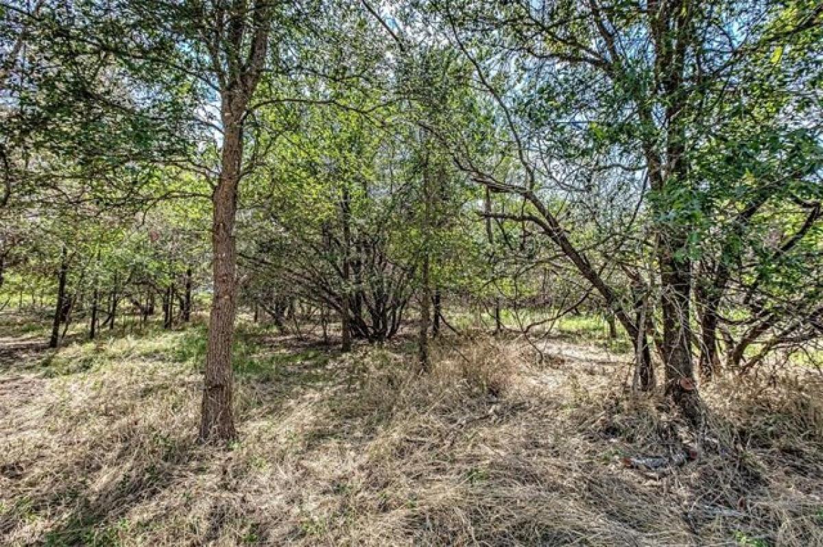 Picture of Residential Land For Sale in Bastrop, Texas, United States