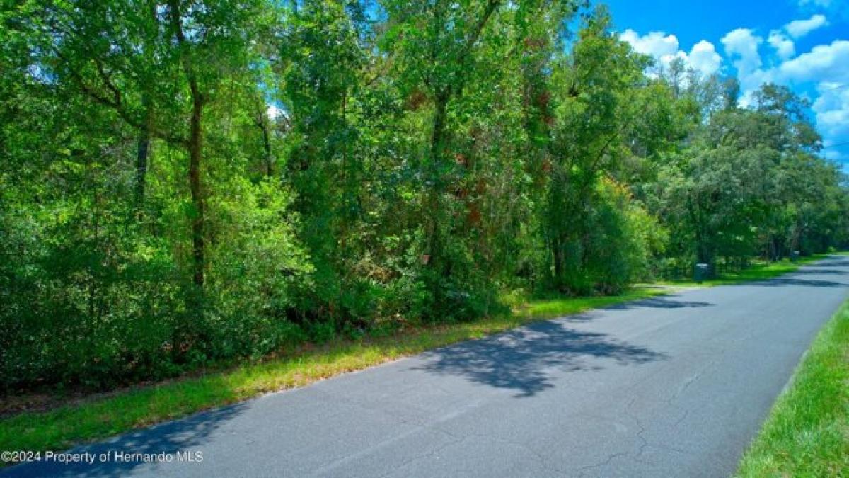 Picture of Residential Land For Sale in Dade City, Florida, United States