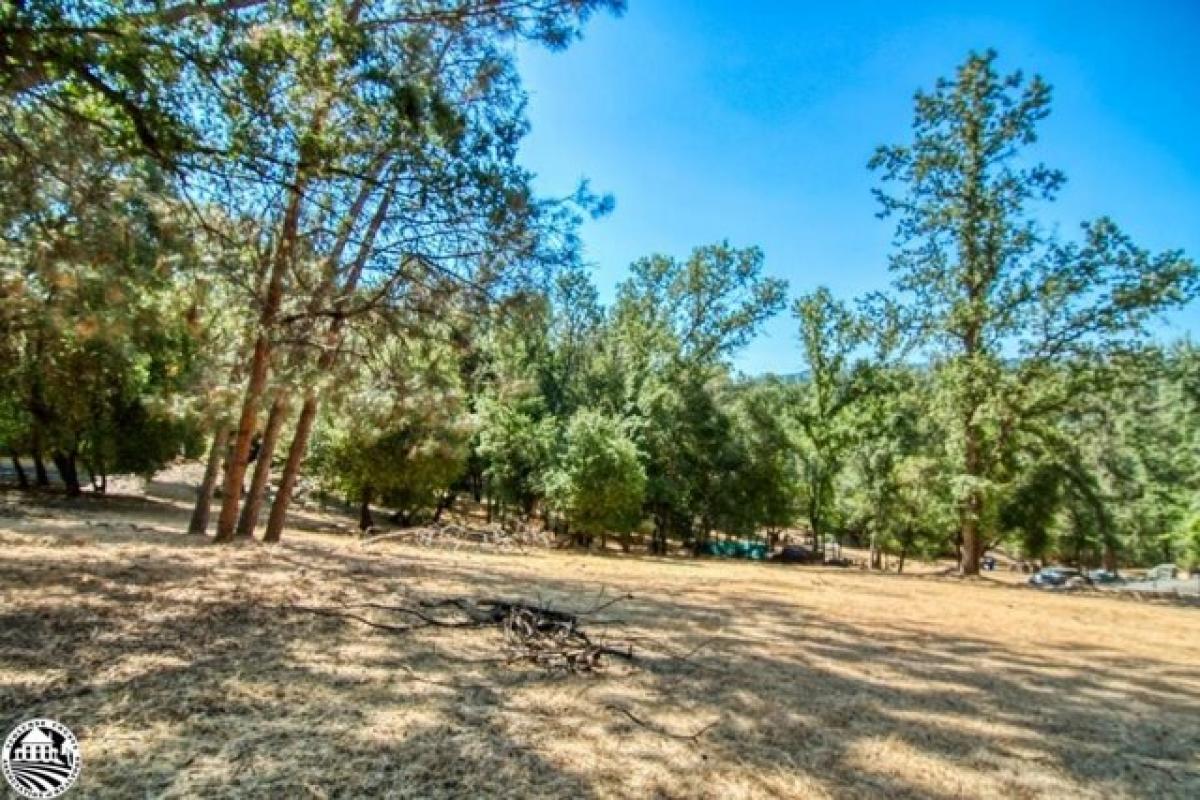 Picture of Residential Land For Sale in Groveland, California, United States