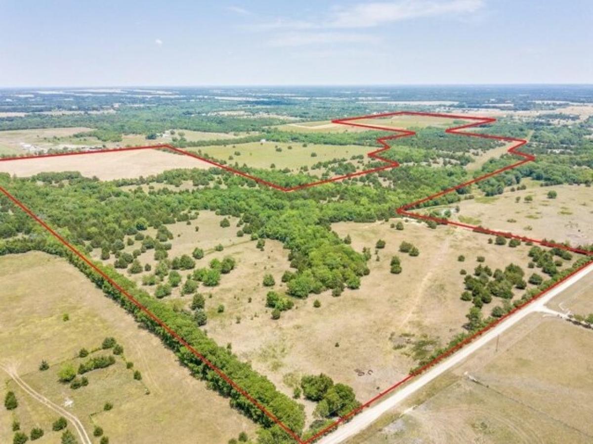 Picture of Residential Land For Rent in Trenton, Texas, United States