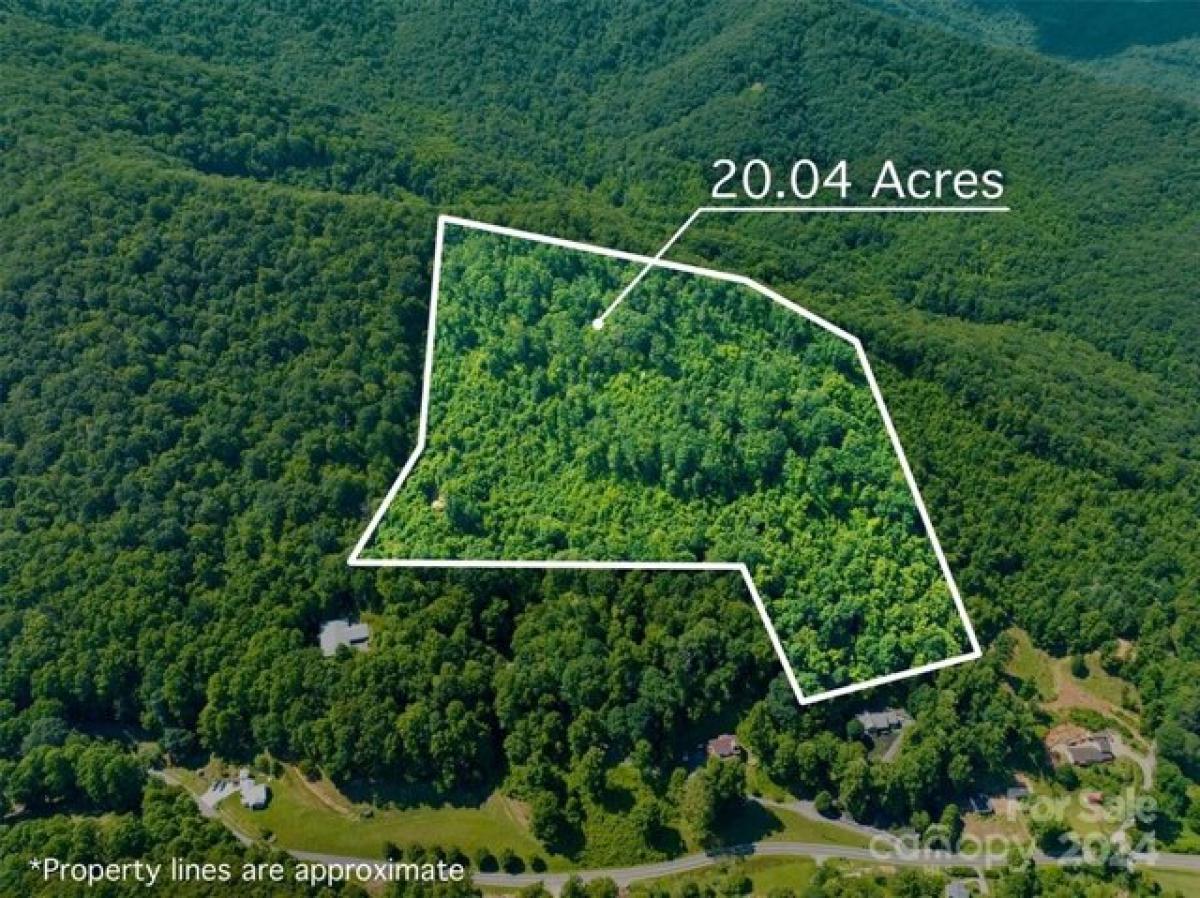 Picture of Residential Land For Sale in Candler, North Carolina, United States