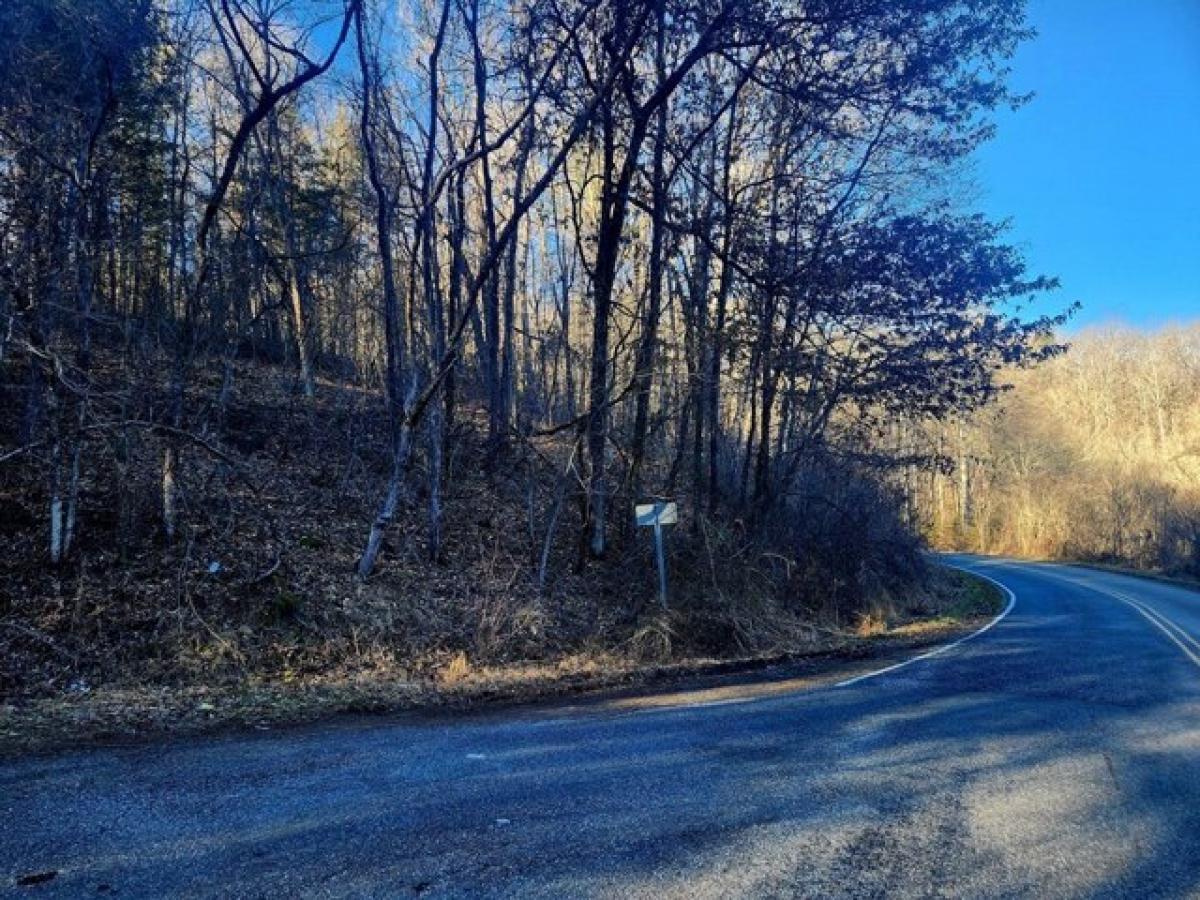 Picture of Residential Land For Sale in Cullowhee, North Carolina, United States