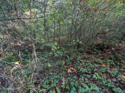 Residential Land For Sale in Allardt, Tennessee