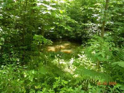 Residential Land For Sale in Kennan, Wisconsin