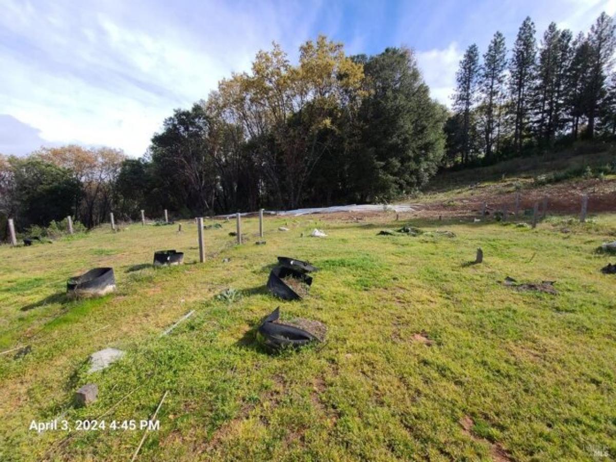 Picture of Home For Sale in Covelo, California, United States