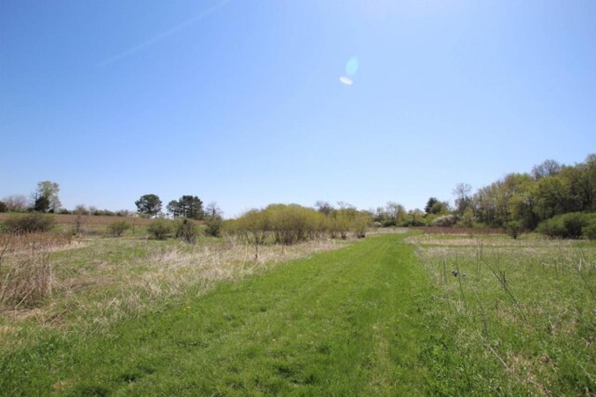 Picture of Residential Land For Sale in Rock City, Illinois, United States