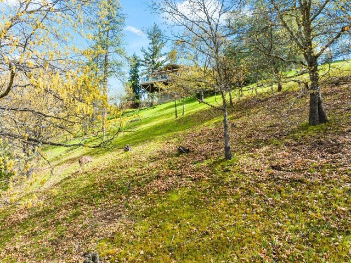 Picture of Residential Land For Sale in Ashland, Oregon, United States