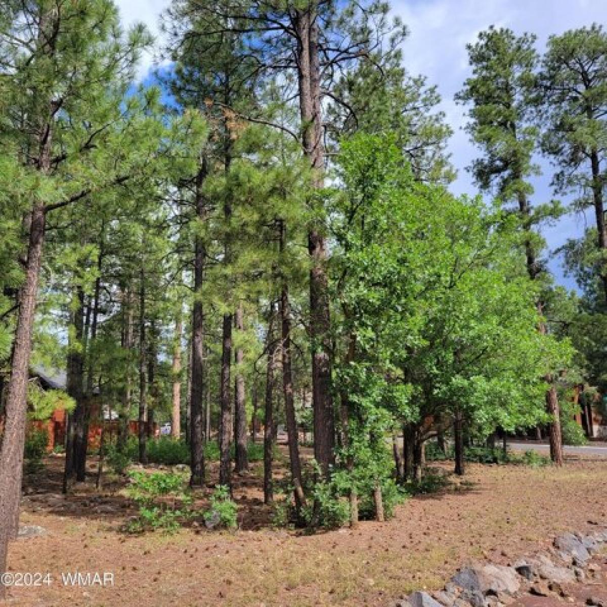 Picture of Residential Land For Sale in Pinetop, Arizona, United States