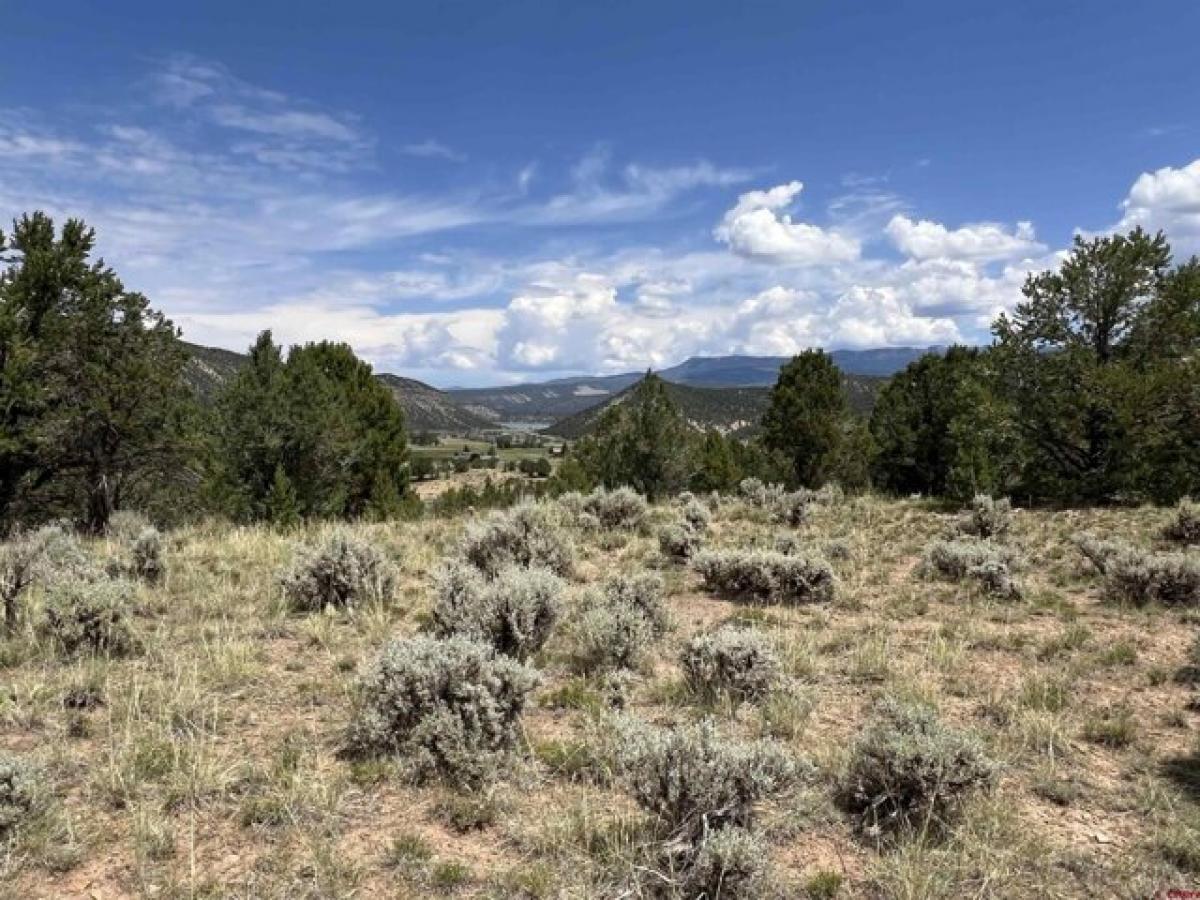 Picture of Residential Land For Sale in Ridgway, Colorado, United States