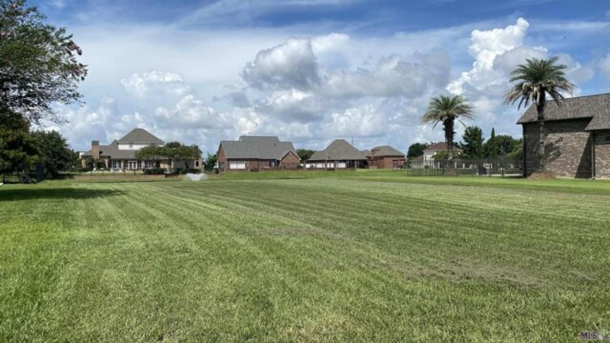 Picture of Residential Land For Sale in Paulina, Louisiana, United States