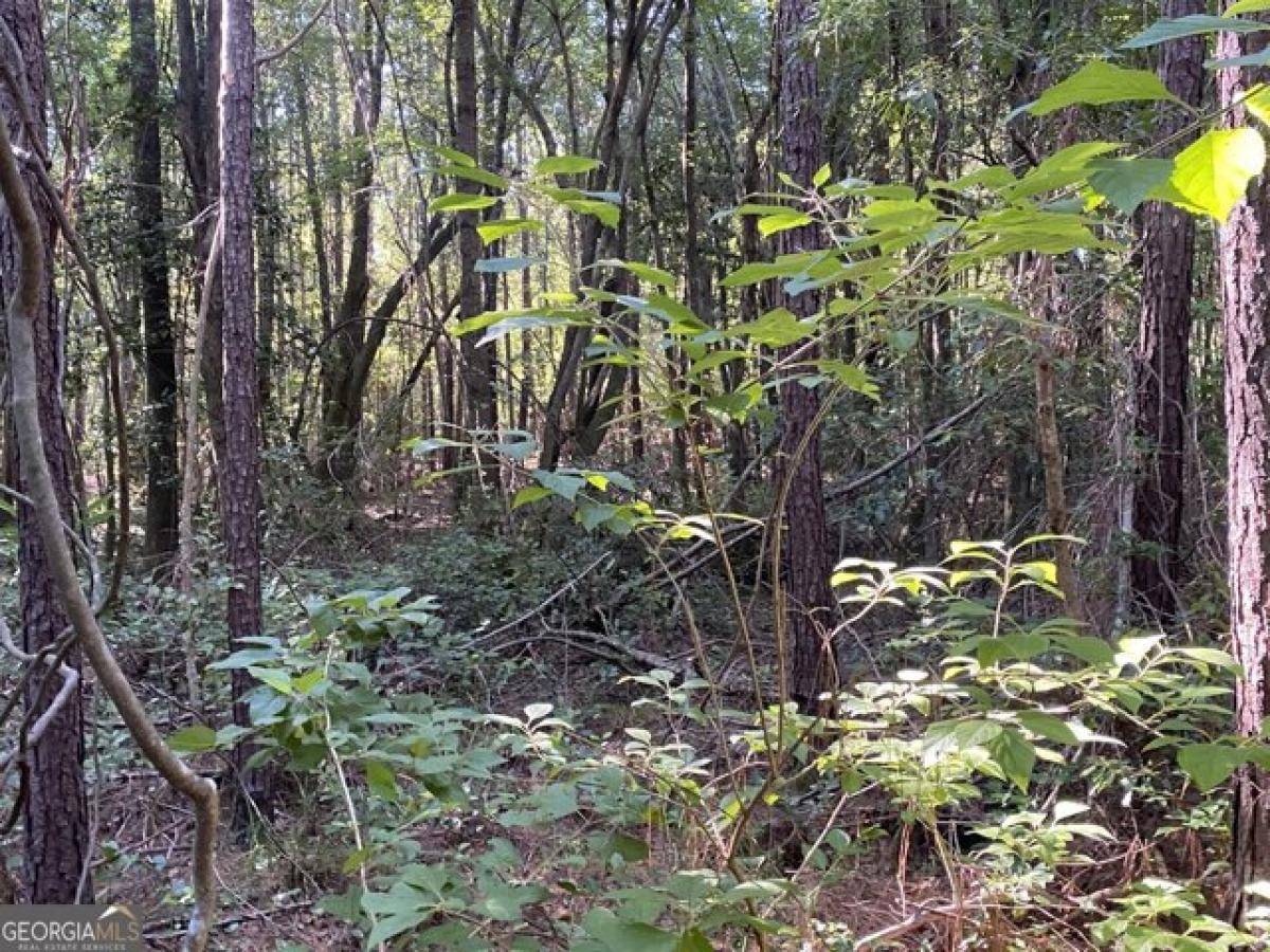 Picture of Residential Land For Sale in Cochran, Georgia, United States