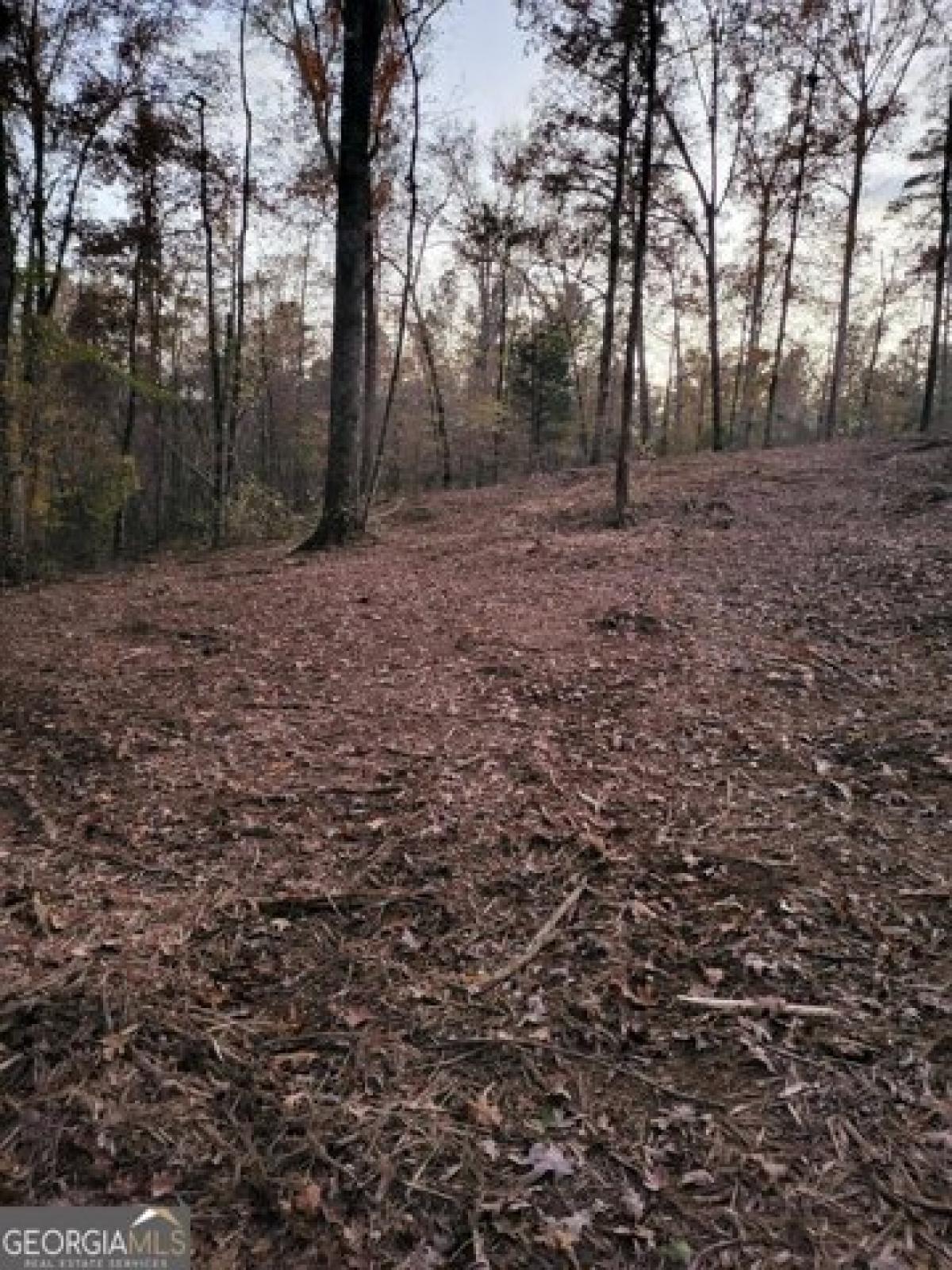 Picture of Residential Land For Sale in Forsyth, Georgia, United States