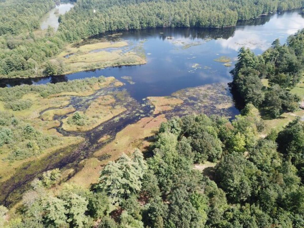 Picture of Residential Land For Sale in Waterboro, Maine, United States