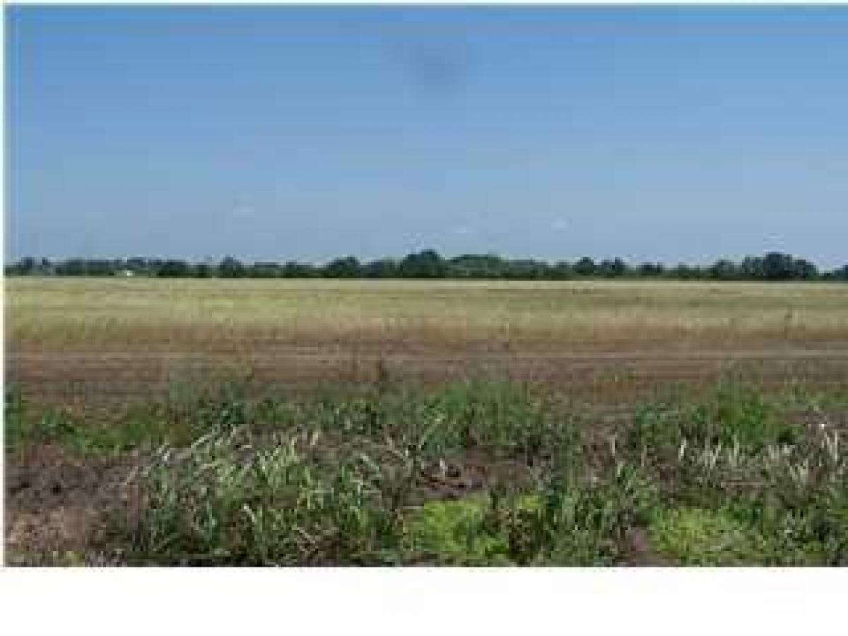 Picture of Residential Land For Sale in Rayne, Louisiana, United States