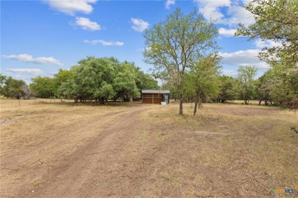 Picture of Residential Land For Sale in Kempner, Texas, United States