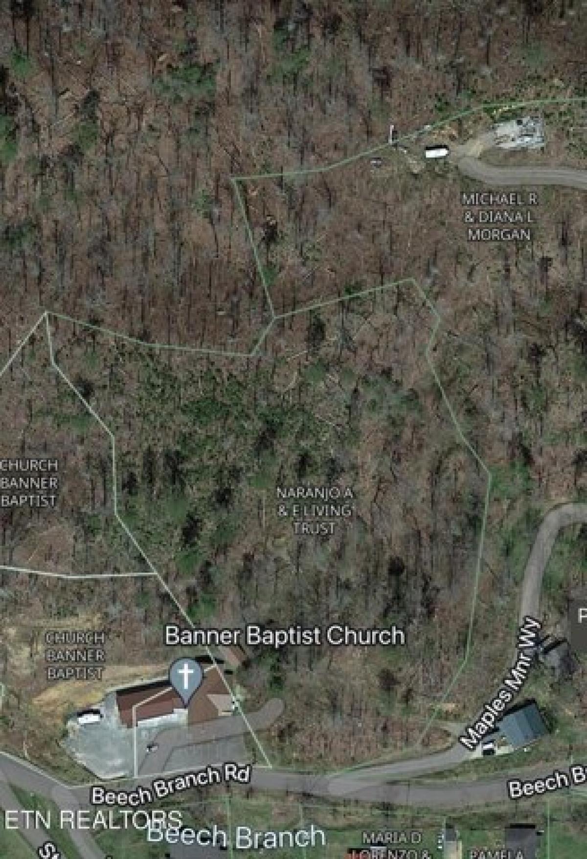 Picture of Residential Land For Sale in Gatlinburg, Tennessee, United States