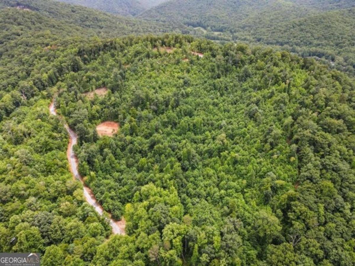 Picture of Residential Land For Sale in Hiawassee, Georgia, United States