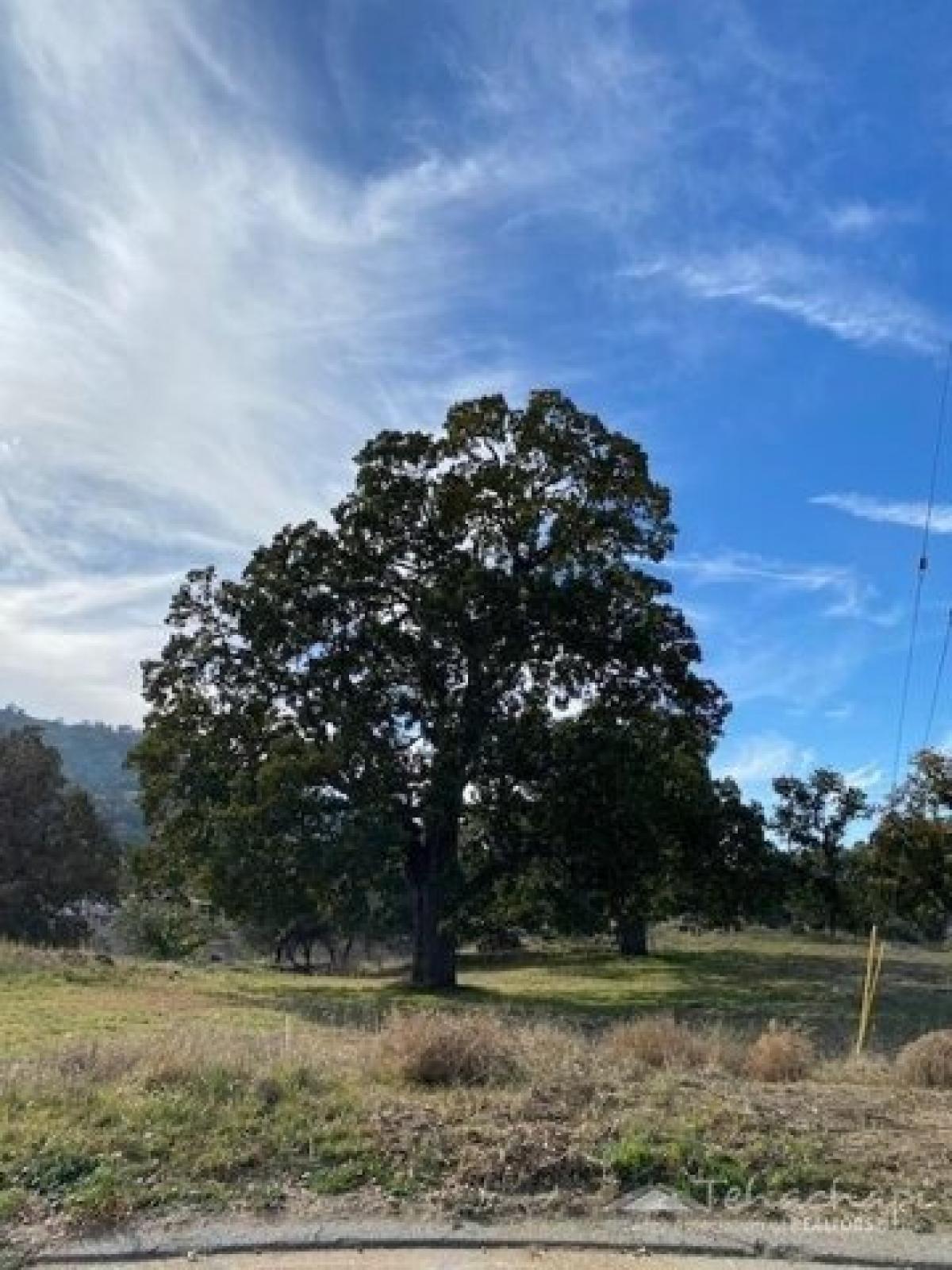 Picture of Residential Land For Sale in Tehachapi, California, United States