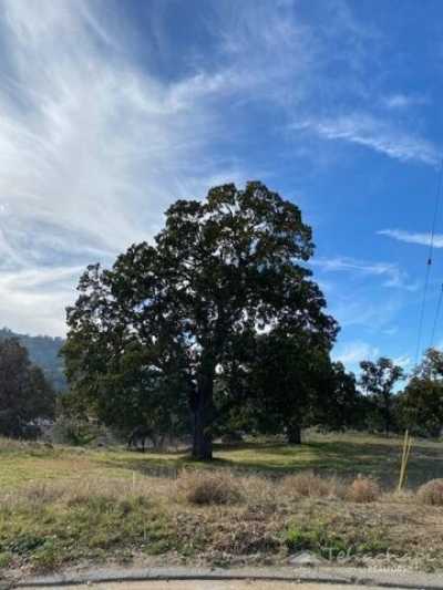 Residential Land For Sale in Tehachapi, California