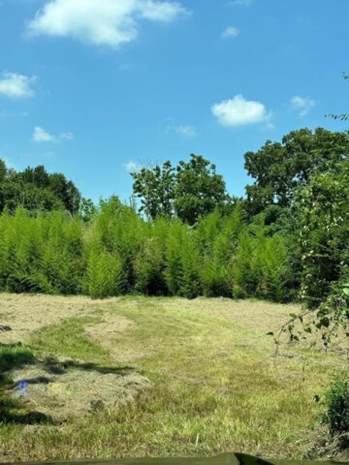 Picture of Residential Land For Sale in Palestine, Texas, United States