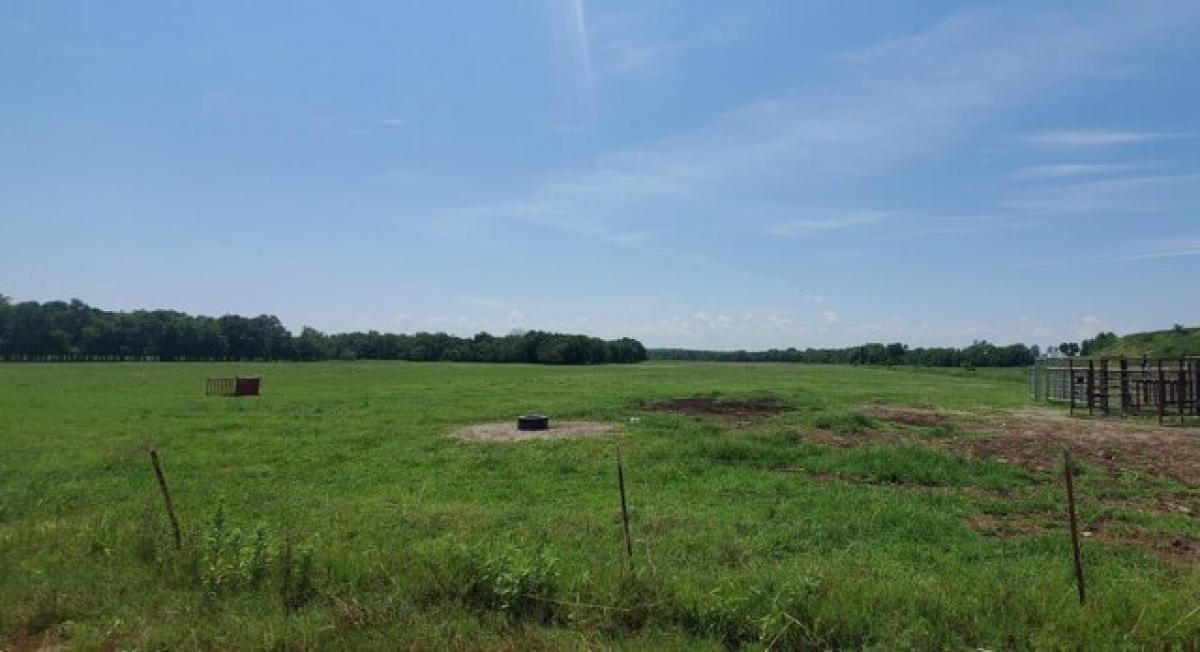 Picture of Residential Land For Sale in Afton, Oklahoma, United States