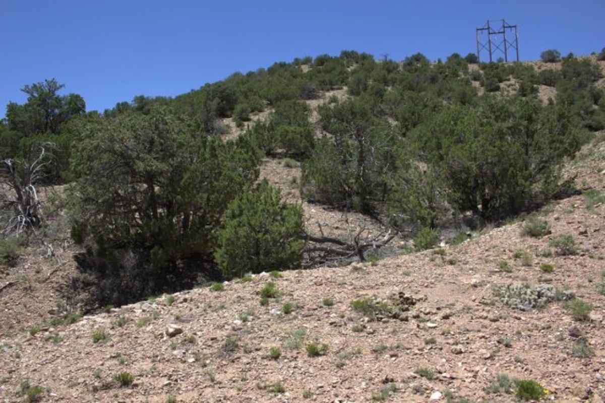 Picture of Residential Land For Sale in Placitas, New Mexico, United States