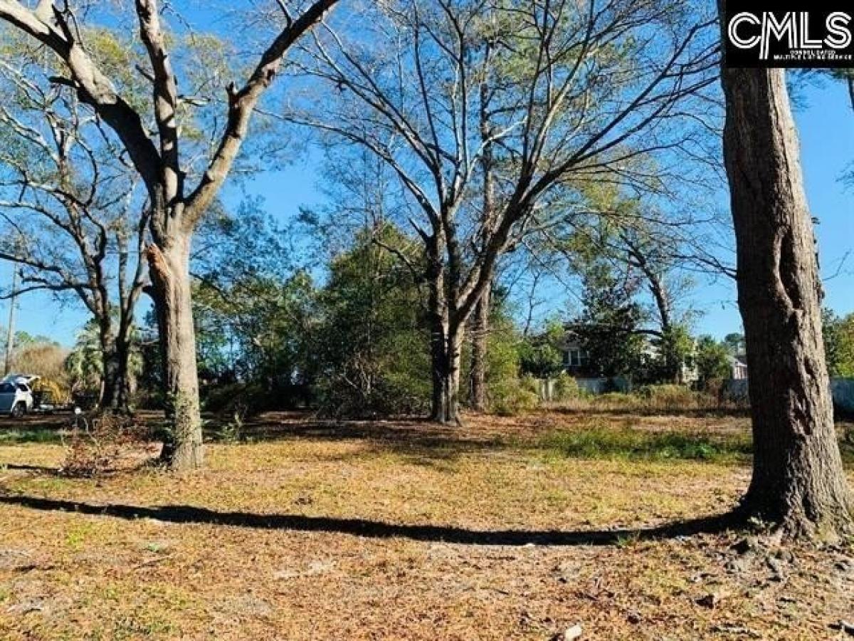 Picture of Residential Land For Sale in Sumter, South Carolina, United States