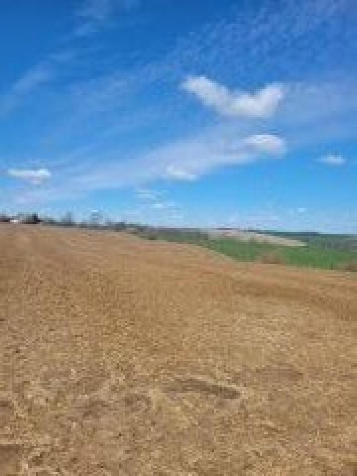 Picture of Residential Land For Sale in Mineral Point, Wisconsin, United States